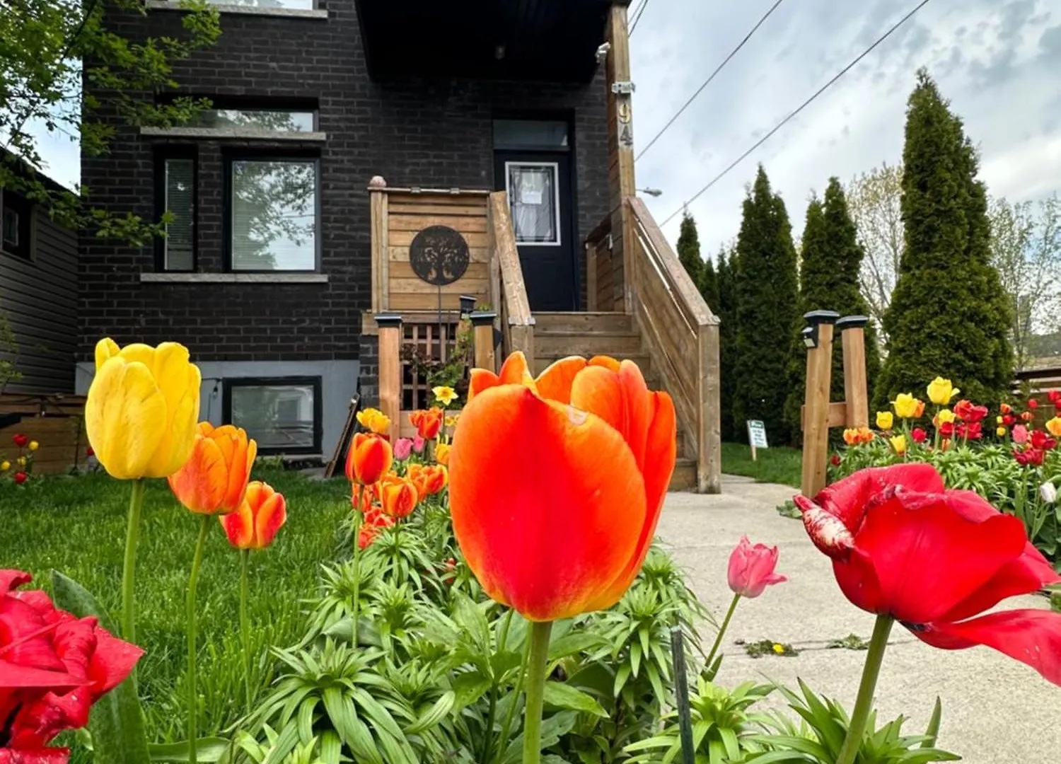 Lower Loft Suite -Space Share Toronto 0*,  Kanada